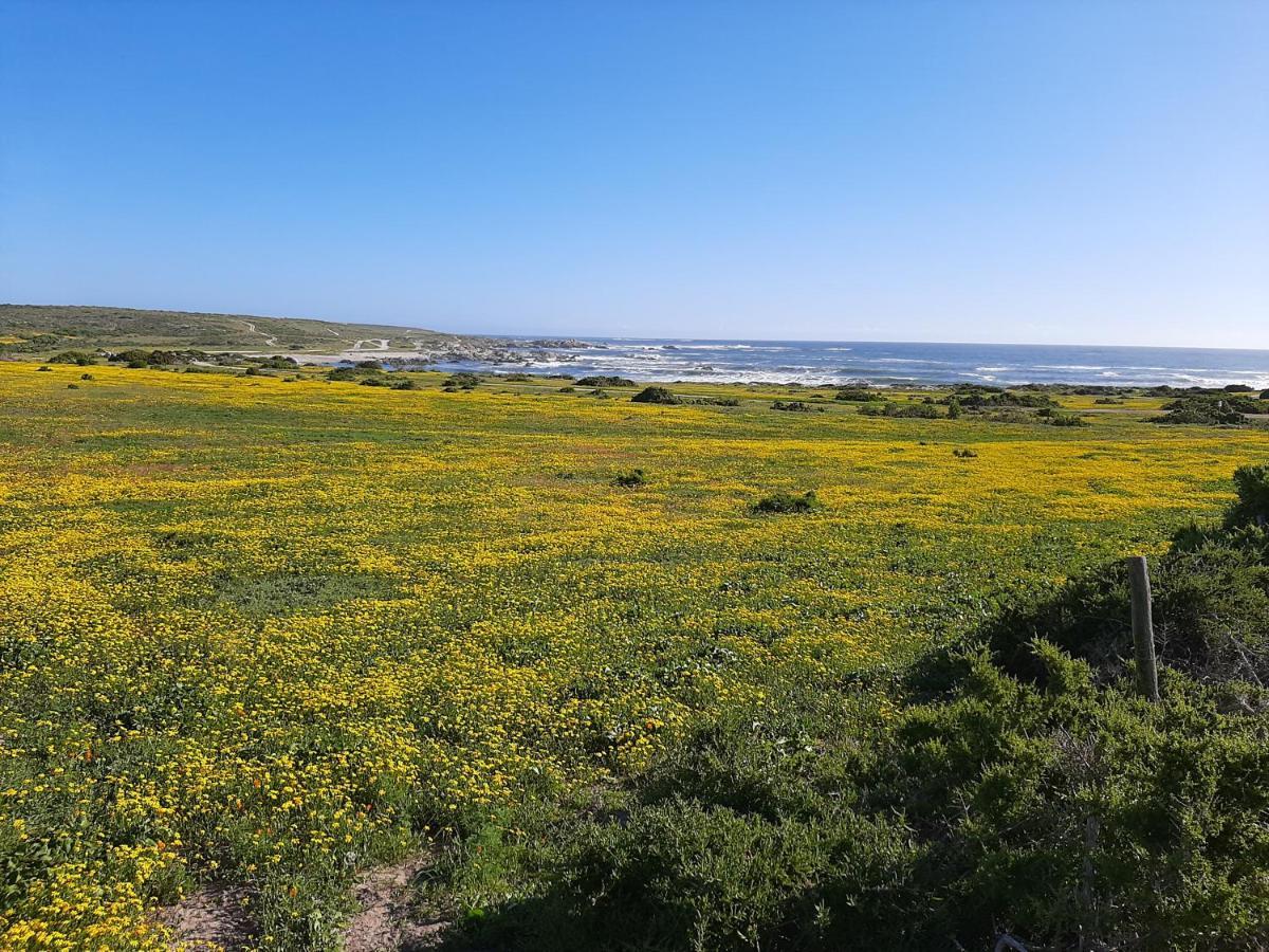 Milk Thistle Loft & Studio Apartments Paternoster Kültér fotó