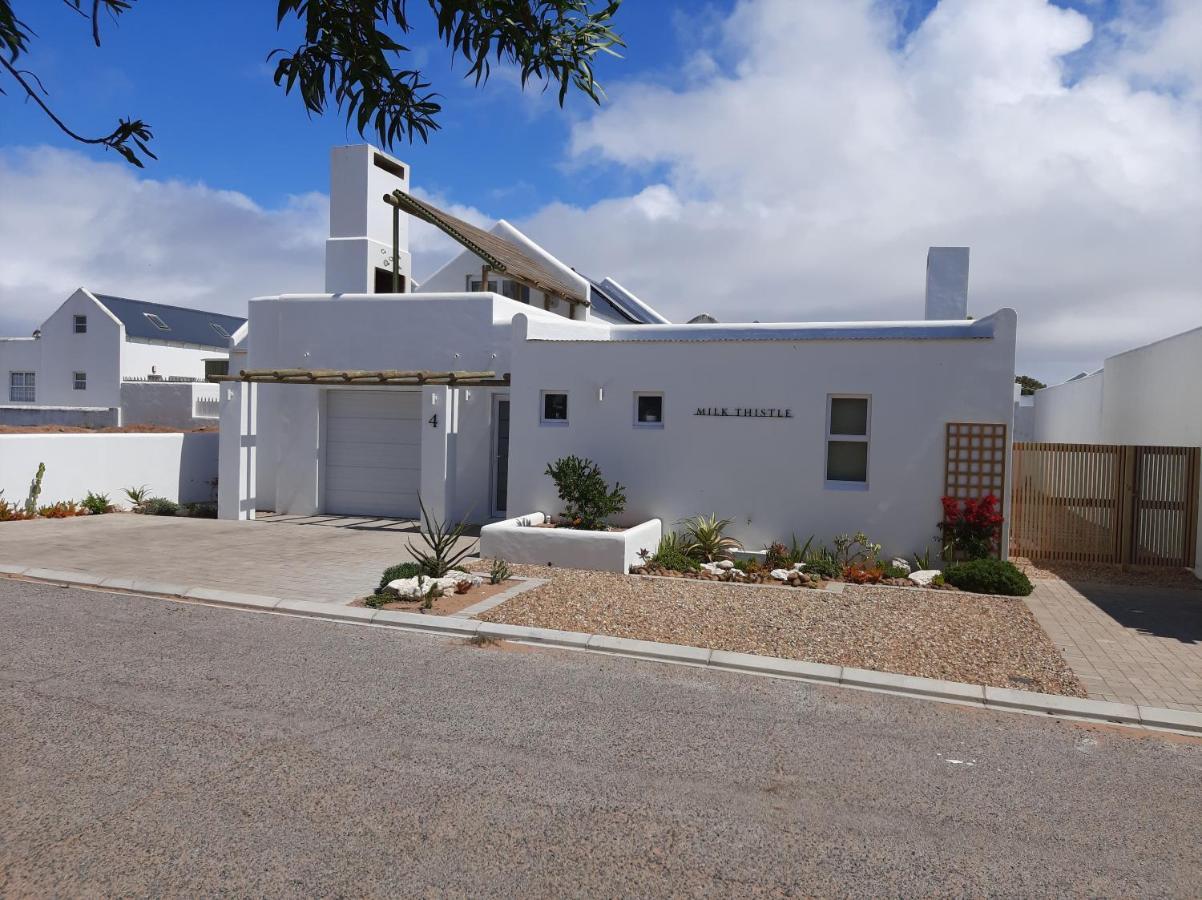 Milk Thistle Loft & Studio Apartments Paternoster Kültér fotó