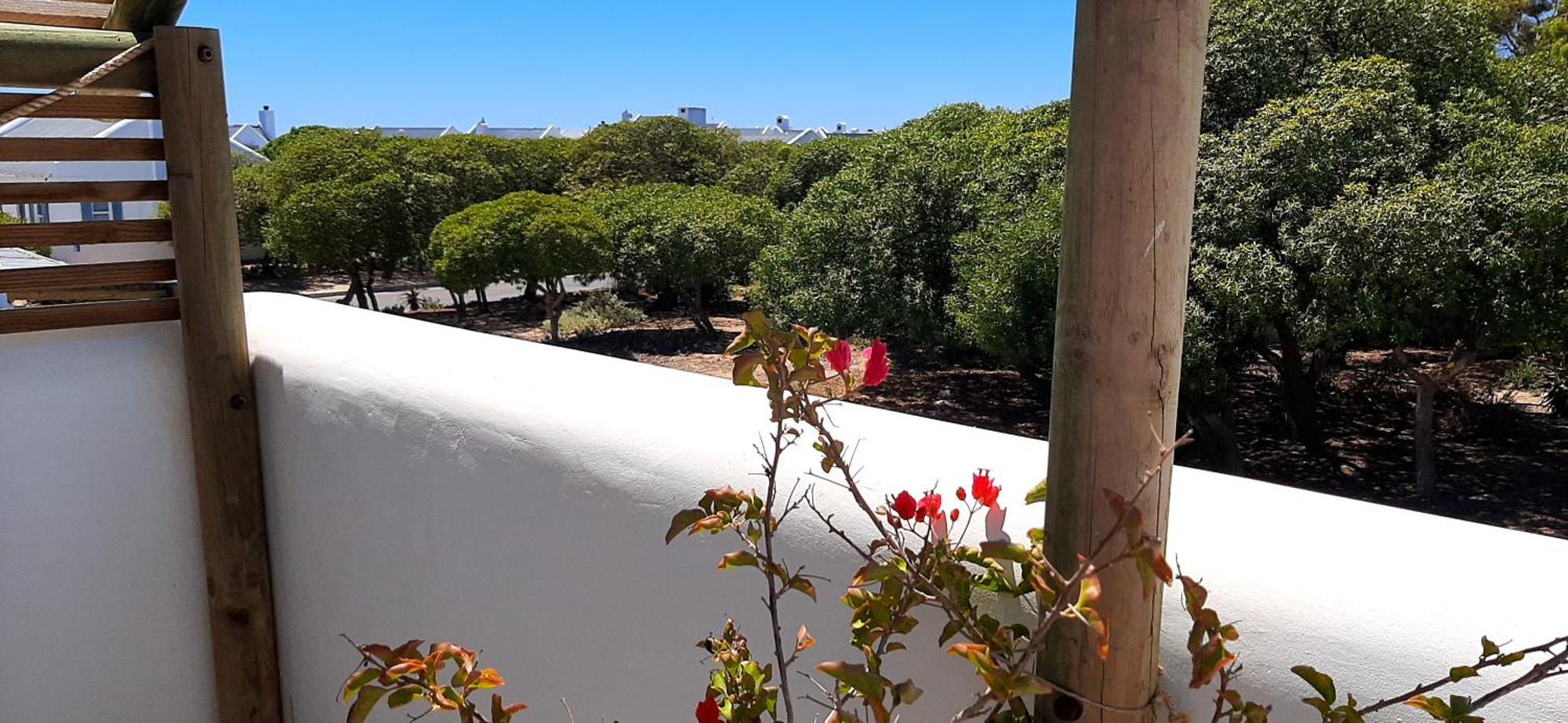 Milk Thistle Loft & Studio Apartments Paternoster Kültér fotó
